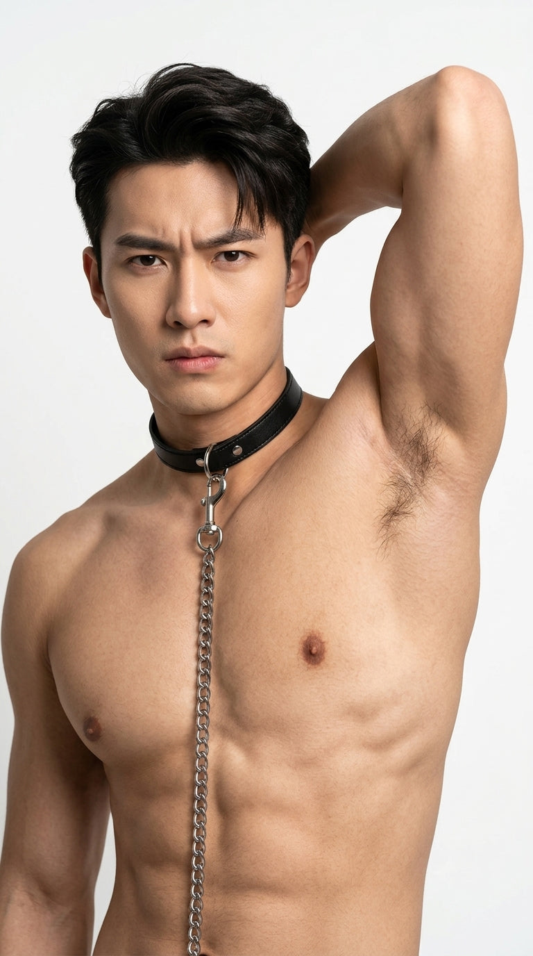 ปลอกคอพร้อมโซ่จูง ( รหัส RD141 )