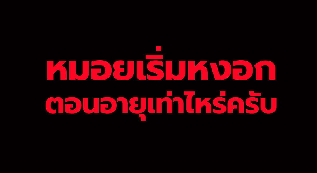 อายุ 45 หมอยหงอก ผิดปกติไหมครับ