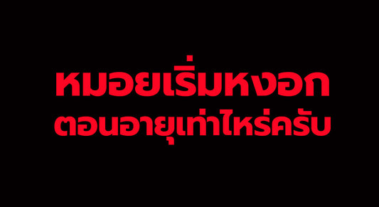 อายุ 45 หมอยหงอก ผิดปกติไหมครับ