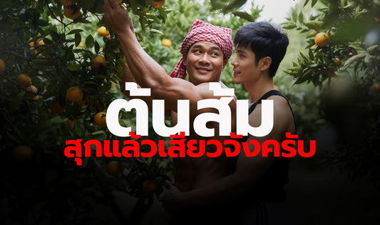 ต้นส้มสุกแล้วเสียวจังครับ