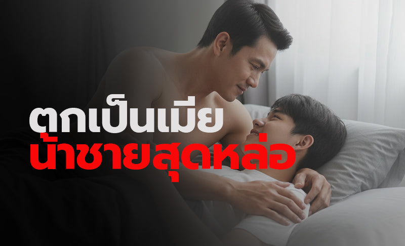 ตกเป็นเมียน้าชายสุดหล่อ เรื่องเกย์เสียว